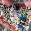 Microplastics duiken op in onze hersenen