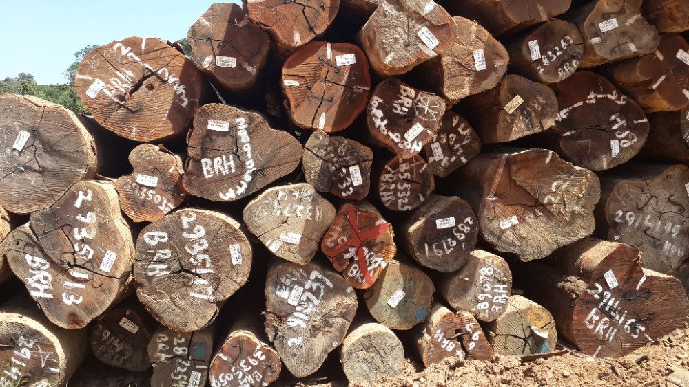 Houtschiller met 6 Verlengde Messen, Kettingzaag Opzetstuk voor Ontschorsen van Hout