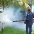 Chikungunya-bestrijding versterkt